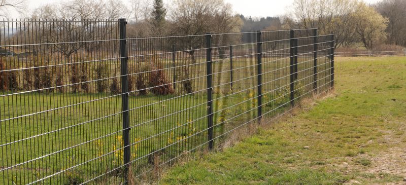 Wire Mesh Fence